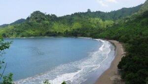4 Hal Menarik di Taman Nasional Meru Betiri yang Wajib Kamu Ketahui