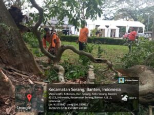 Hujan Angin Terjang Serang, BPBD Banten Bergerak Cepat